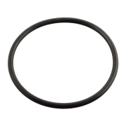 Кольцо уплотнительное круглого сечения